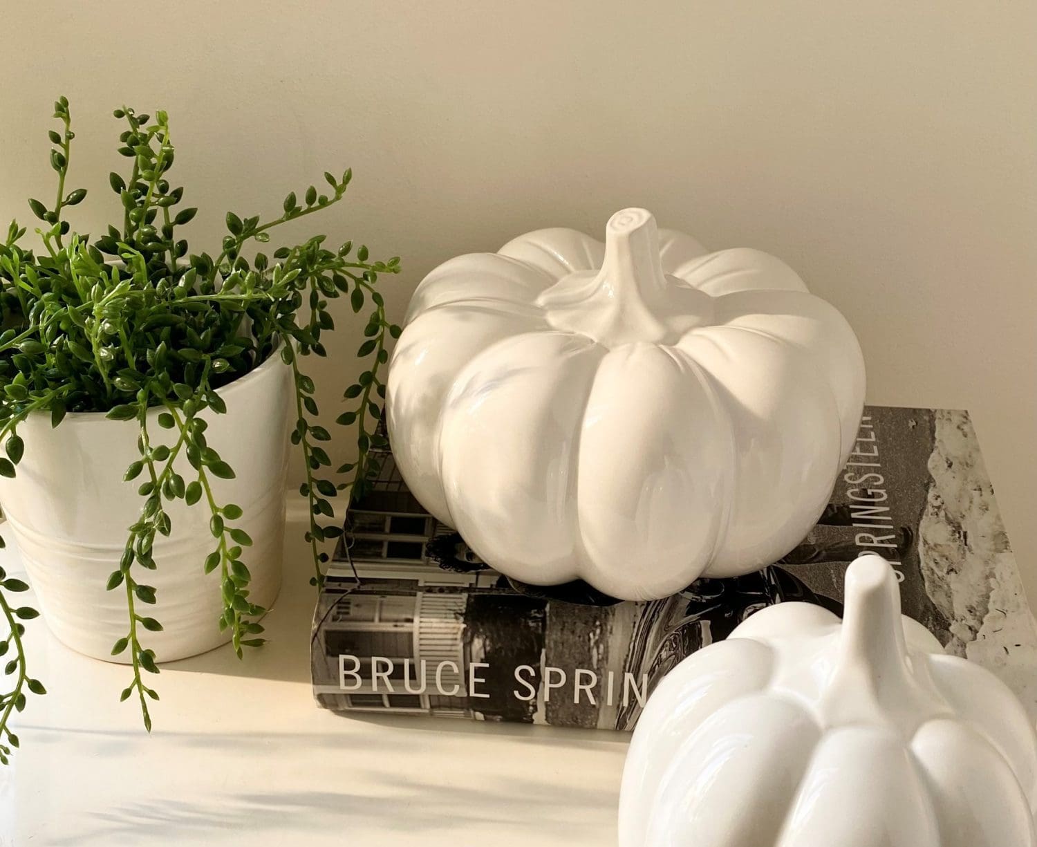Pumpkin Large