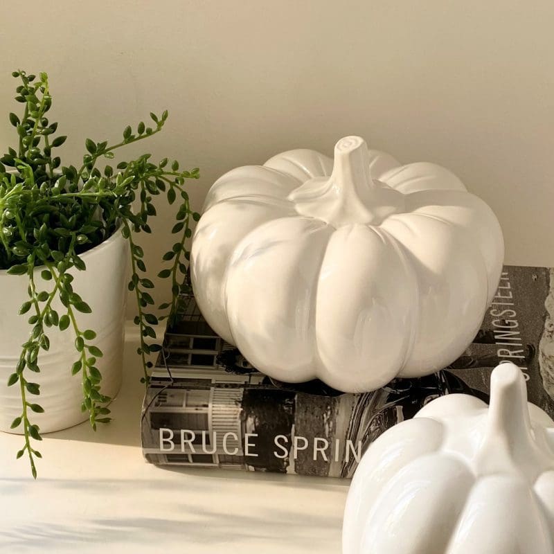 Pumpkin Large