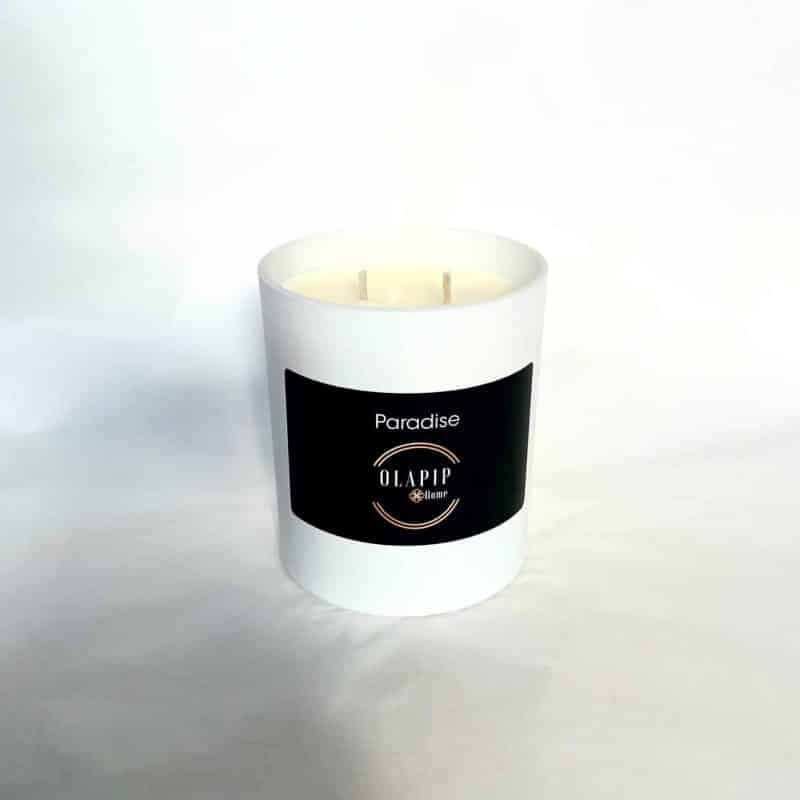 Paradise double-wick soy candle