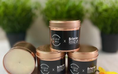 It’s all about the bees!